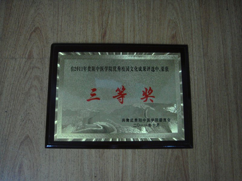医学人文学院荣获贵阳中医学院2011年优秀校园文化成果三等奖